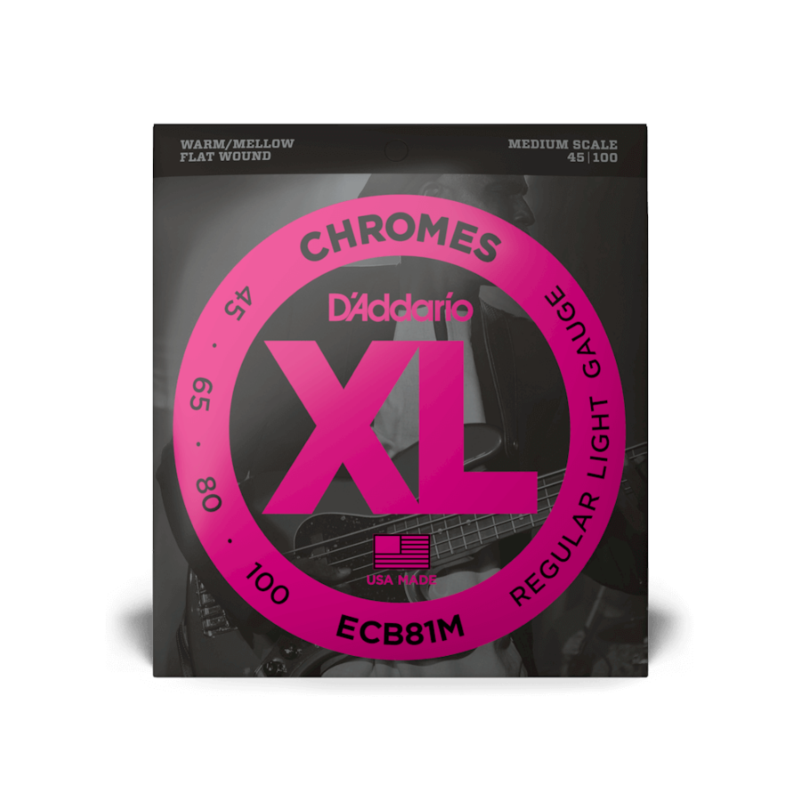 DAddarioECB81M