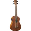 EkoDuoBassUkulele_1