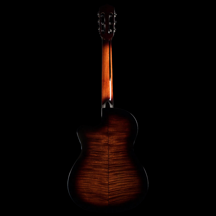 Fusion5Sonata_2