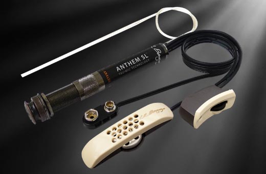 LR Baggs Anthem. Element and Microphone Guitar Pickup system
