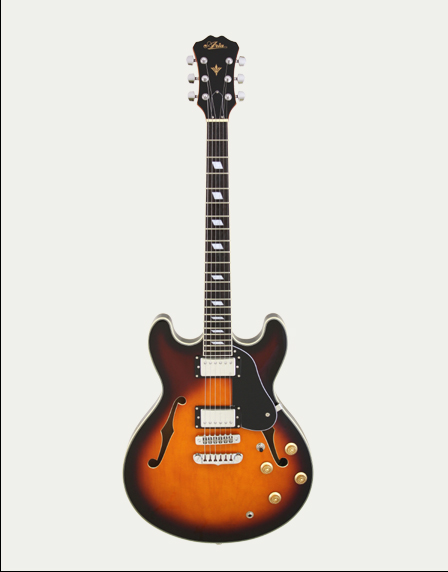Aria Ta Classic Semi. 335 style Electric Guitar