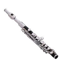 Vivace from Trevor James Piccolo The Music Cellar