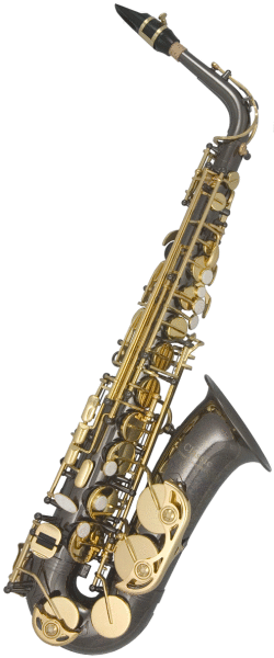 Horn Classic Alto Sax in Black and Gold Lacquer