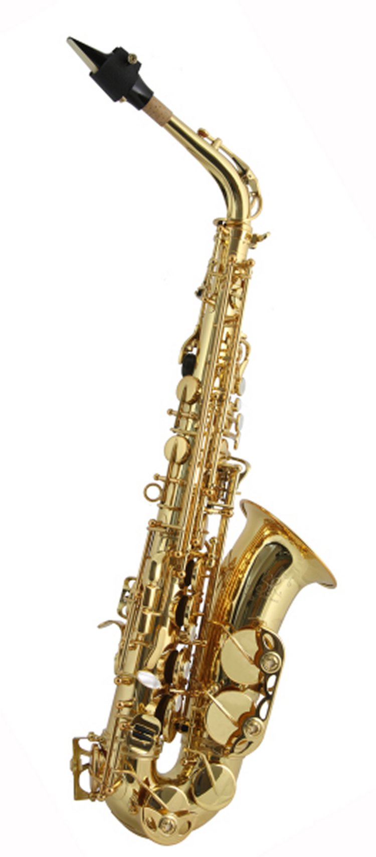 Trevor James SR Alto Saxophone Outfit - gold lacquer