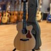 Trish Seagull SWS 1