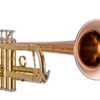 BachBTR355G_1