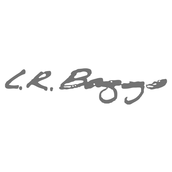 LR Baggs